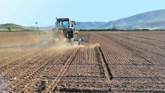 Ολοκληρώθηκαν αλλά με καθυστέρηση οι χειμερινές σπορές σιτηρών στην Ε.Ε.