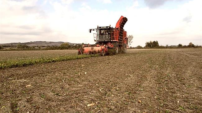 Τευτλοκαλλιέργεια: Οι Ισπανοί αυξάνουν το ελάχιστο εισόδημα σε 65 ευρώ/τόνο
