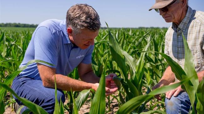 Παγκόσμια Ημέρα Εδάφους: Να γιατί όλοι πρέπει να νοιάζονται