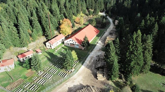 Πράσινο Κίνημα: "Ταφόπλακα" με ΦΕΚ σε Γεωπονική και Δασολογία με ξεκάθαρο σκοπό το πλιάτσικο στην ακίνητη περιουσία τους