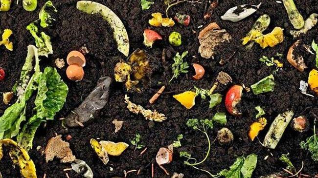 Γραφάκος: «Η πρόληψη είναι το κλειδί στη διαχείριση των αποβλήτων των τροφών»