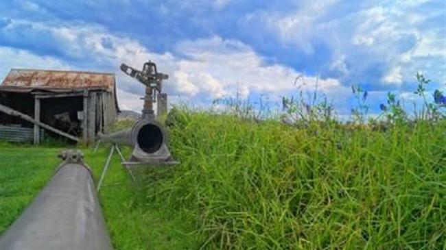 «Πράσινο φως» για ένταξη 44 αρδευτικών-κτηνοτροφικών έργων στο Πρόγραμμα Αγροτικού Εξηλεκτρισμού από την Περιφέρεια Θεσσαλίας