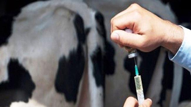 Σχέσεις ΕΕ-Ηνωμένου Βασιλείου: η Επιτροπή παρατείνει τις ρυθμίσεις για τα κτηνιατρικά φάρμακα έως το 2025