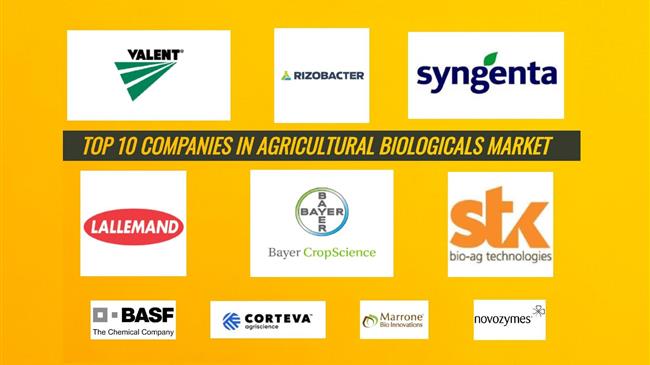 Αυτές είναι οι δέκα κορυφαίες εταιρίες στην αγορά γεωργικών βιολογικών προϊόντων παγκοσμίως