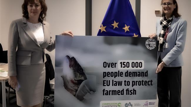 More than 150,000 people urge the EU to protect fish welfare