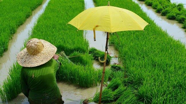 FAO: Αυτές οι περιοχές είναι πολύ μπροστά στην ημερήσια πρόσληψη θερμίδων