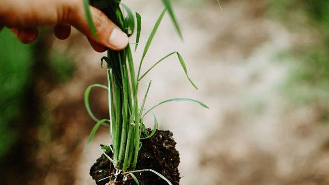 Υπαγωγή αγροτών και συνεταιρισμών στο Μεταφορικό Ισοδύναμο