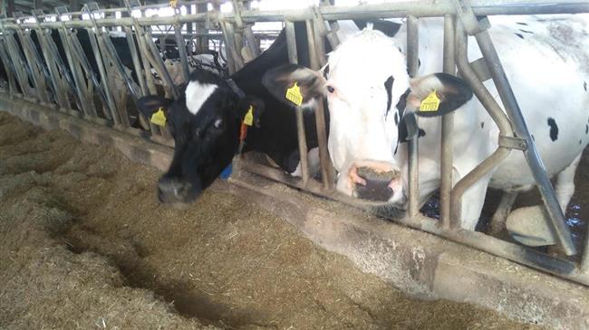 ΕΦΧΕ: Πού οφείλεται η μείωση των τιμών;