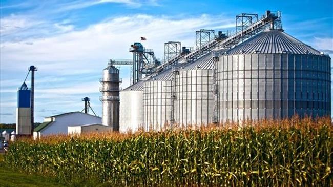 Υπάρχει μέλλον για τα βιοκαύσιμα στις μεταφορές της ΕΕ;