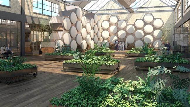 Νέα Υόρκη: Πράσινο φως στη μεταθανάτια κομποστοποίηση ανθρώπινων σωμάτων – Πως αντιδρούν υπέρμαχοι και διαφωνούντες