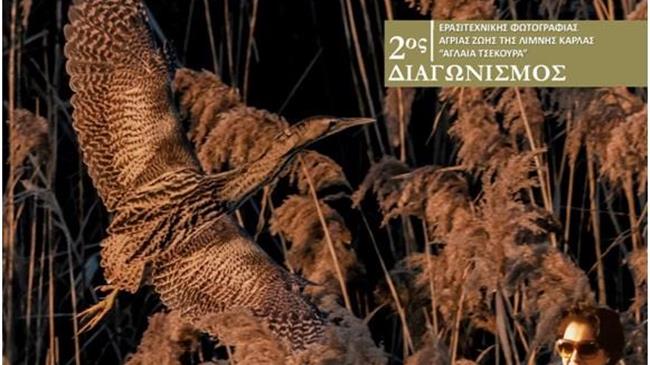 Ξεκίνησε ο 2ος διαγωνισμός ερασιτεχνικής φωτογραφίας άγριας ζωής της λίμνης Κάρλας