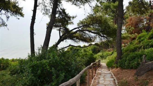 Σκρέκας: «Με το Εθνικό Δίκτυο Μονοπατιών αναδεικνύουμε τον δασικό και πολιτιστικό πλούτο που διαθέτει η χώρα μας»