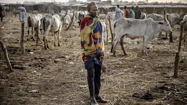 Πάνω από 50 οι νεκροί κτηνοτρόφοι στην έκρηξη στη Νιγηρία
