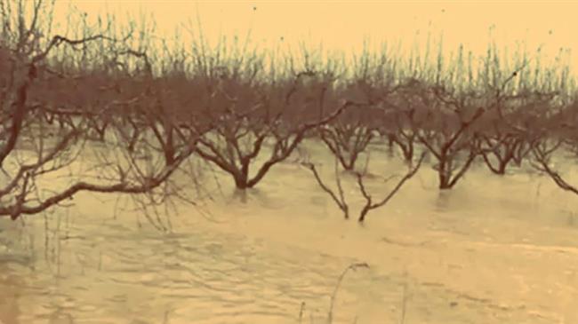 Πορεία διοικητικού ελέγχου των αιτήσεων στήριξης-πληρωμής και ένταξης πράξεων των παραγωγών στο Μέτρο 23