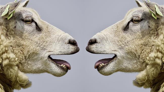 Σε αναδίπλωση το ΥΠΑΑΤ για τα 89 εκατ. ευρώ των ζωοτροφών