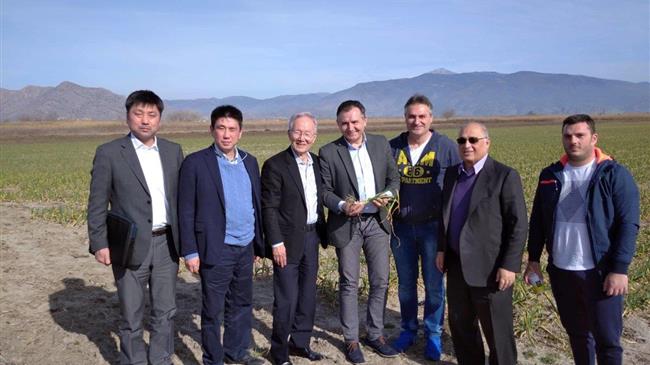 Θεσσαλονίκη: Είναι το ...σκόρδο eNtopio, που φέρνει τους Ιάπωνες της «Wakunaga» στον Πλατύκαμπο Θεσσαλίας