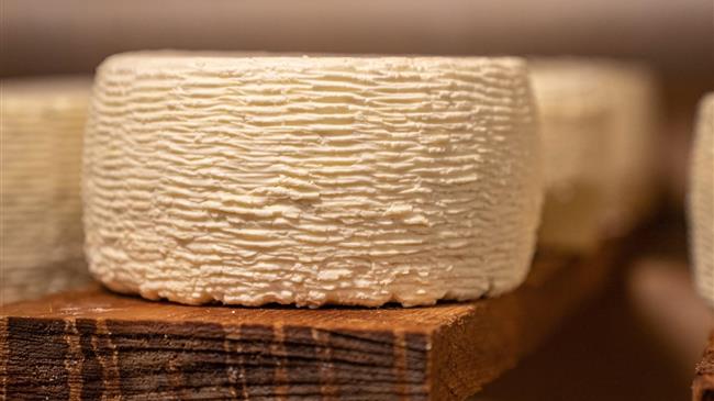 Τυρί από νωπό γάλα για πρώτη φορά στην Ελλάδα