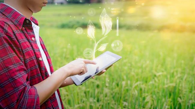 Ευρωπαϊκά προγράμματα VET: Δίπλα στους Ευρωπαίους αγρότες