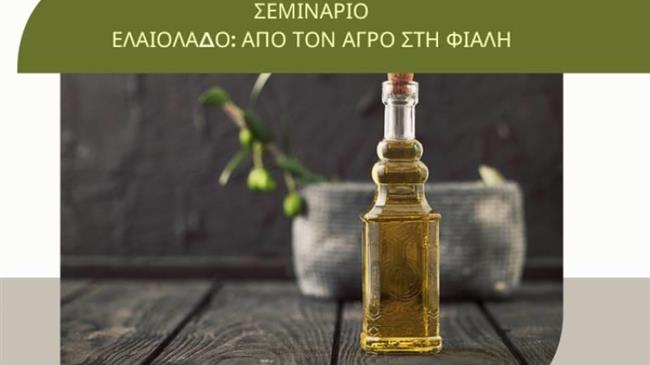Σεμινάριο Ελαιόλαδου «Από τον αγρό στη φιάλη» από το ΚΑΕΜ