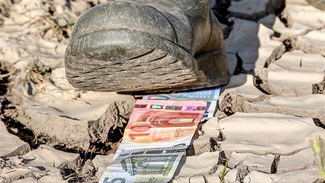 Αγρότες Ημαθίας: Γιατί αργούν τόσο οι εκτιμήσεις του ΕΛΓΑ από τις καταστροφές του Ιουνίου;