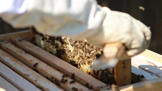 Στους δρόμους βγαίνουν και οι μελισσοκόμοι της Κρήτης