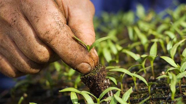 Organics farmers call for fair prices and recognition of public goods delivery