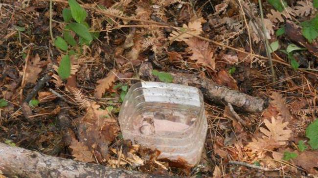 ΟΦΥΠΕΚΑ: Το έγκλημα των δηλητηριασμένων δολωμάτων είναι μια πληγή που μαστίζει την άγρια πανίδα