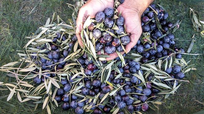 Κίνδυνος χρηματοδότησης προγράμματος ΟΕΦ 2024-2027