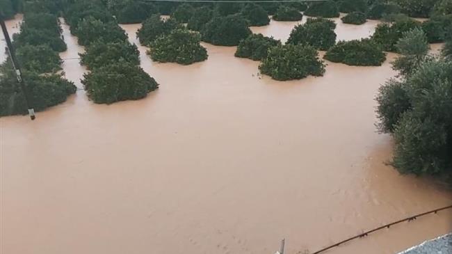 ΠΟΓΕΔΥ: Να προστατεύσουμε τον αγροτικό κόσμο από ένα νέο “πακέτο  Χατζηγάκη”