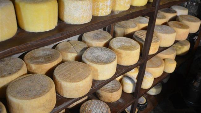 Ευρωπαϊκοί έλεγχοι σε τυροκομεία στη Θεσσαλία