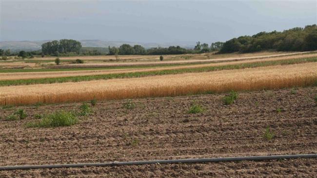 Παράταση 6 μηνών για επενδυτικά σχέδια αγροτικής ανάπτυξης στην ΠΚΜ