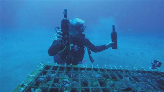 ΣΕΟ: Νέες δυνατότητες δίνει η υποθαλάσσια παλαίωση οίνων