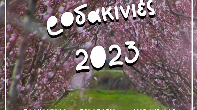 Ανθισμένες Ροδακινιές 2023