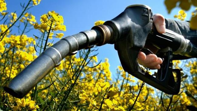 «Παρωχημένη» η κατάργηση των βιοκαυσίμων λένε οι παραγωγοί