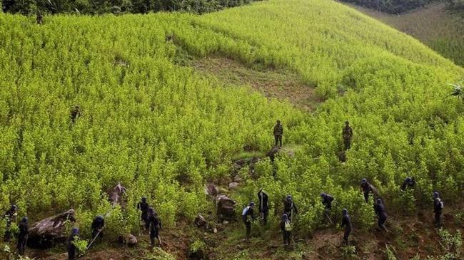 ΟΗΕ: Η παγκόσμια προσφορά κοκαΐνης έχει φθάσει σε επίπεδα ρεκόρ