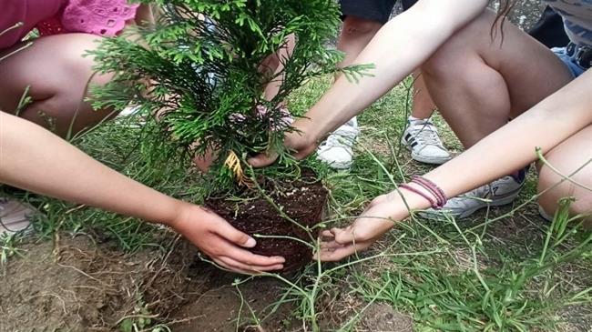 Ιρλανδία-Κρατικές ενισχύσεις: 308 εκατ. ευρώ για τη στήριξη των επενδύσεων στη δάσωση