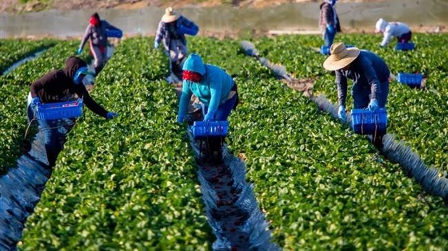 Μία ανάσα πριν τη διακρατική συμφωνία με την Ινδία για εργατικά χέρια