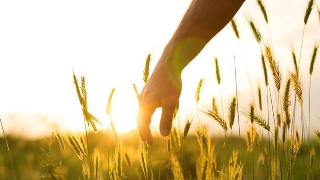 Θεσσαλονίκη: Το στοίχημα της βιώσιμης ανάπτυξη στον πρωτογενή τομέα