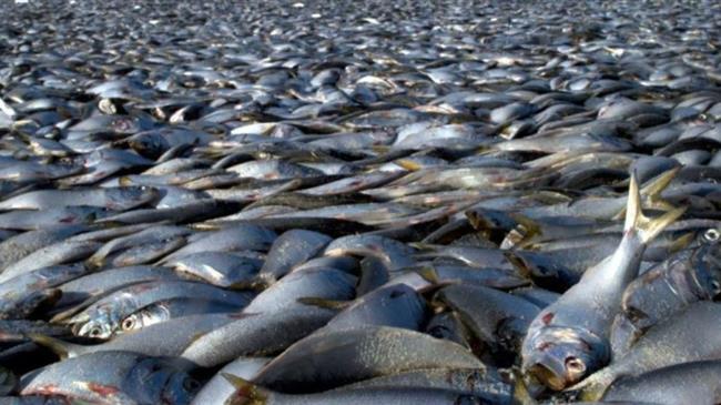 Κατατέθηκε η ρύθμιση για το αφορολόγητο των ενισχύσεων σε επιχειρήσεις του Παγασητικού