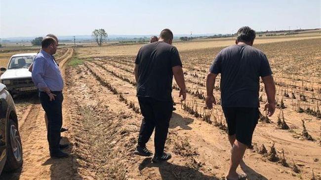 Βασιλειάδης: Ανοίγει ο δρόμος για άρση της παρακράτησης 20% για τις ζημιές από τη χαλαζόπτωση του Ιουνίου