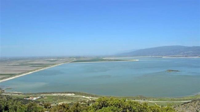 Κοπάδι βοοειδών έβοσκε επί έναν χρόνο στον υγροβιότοπο της λίμνης Κάρλα