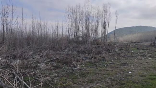 Καβάλα: Επιστρέφεται στους αγρότες η έκταση συντριβής του ουκρανικού Antonov