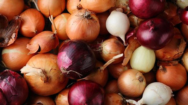 Βέλγιο: Αύξηση στην τιμή των κρεμμυδιών 62% μέσα σε ένα χρόνο