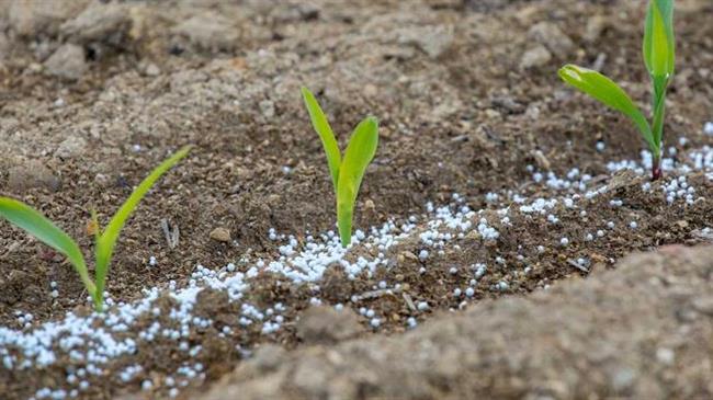Η Επιτροπή αναζητά υποψήφιους για συμμετοχή στο νέο παρατηρητήριο της αγοράς λιπασμάτων