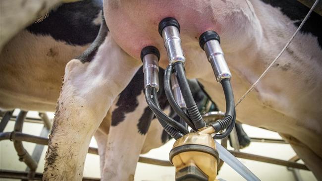 Γάλα: Η αβέβαιη εξέλιξη της παράγωγης γαλακτοκομικών προϊόντων στην Ε.Ε. θα επηρεάσει τις τιμές