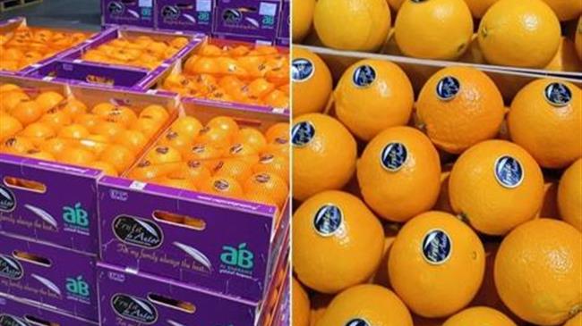 Η Grupo Fruta de Autor καταλήγει σε συμφωνία με τον μεγαλύτερο χονδρέμπορο του Ντουμπάι για εξαγωγή πορτοκαλιών