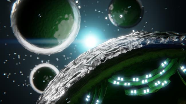 Η φωτοσύνθεση θα μπορούσε να οδηγήσει σε νέους τρόπους παραγωγής ενέργειας