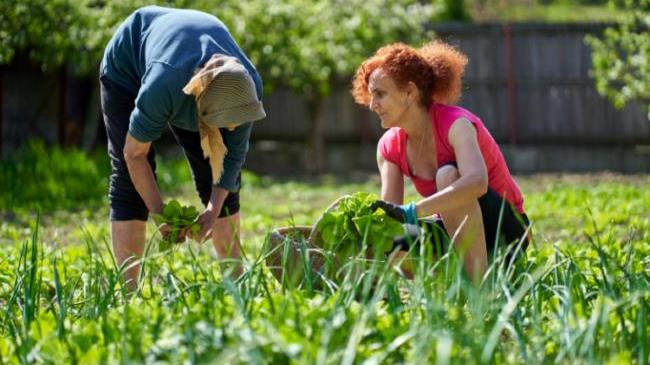 Νέο επίδομα για αγρότισσες μητέρες