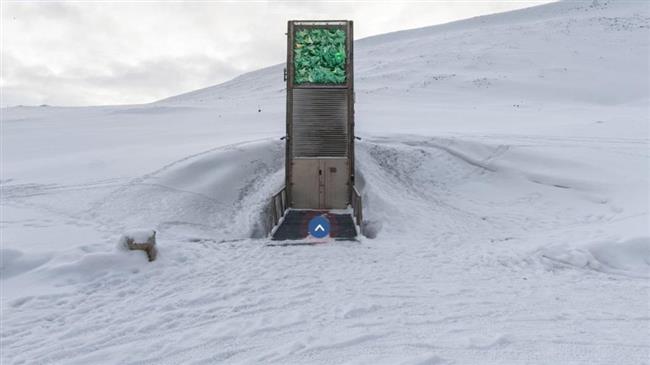 Παγκόσμια Τράπεζα Σπόρων: 3D περιήγηση στο παγκόσμιο θησαυροφυλάκιο της ανθρώπινης γεωργίας