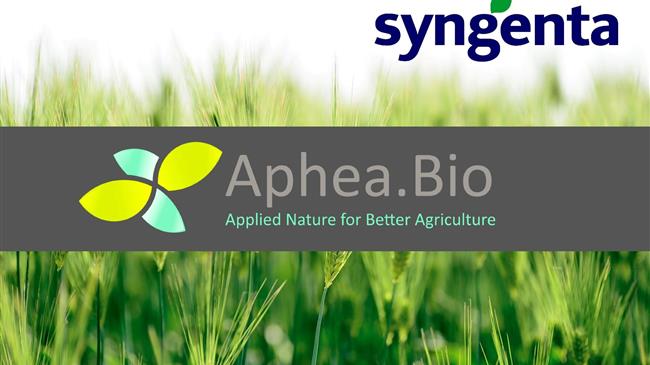 Syngenta Crop Protection & Aphea.Bio: Εισάγουν βιοδιεγερτική επεξεργασία σπόρων στις αγορές της Ε.Ε.